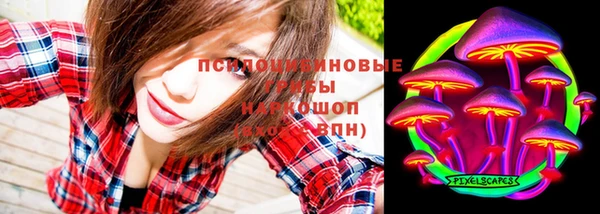 винт Богородицк