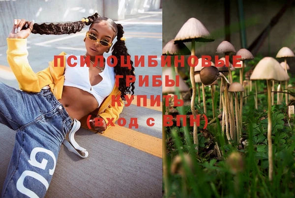 винт Богородицк