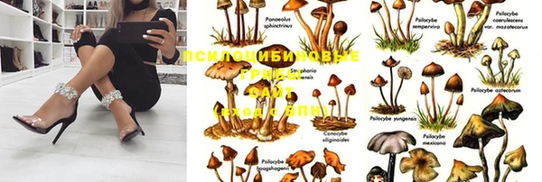 кристаллы Богородск