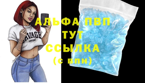 винт Богородицк